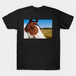 Horsing around T-Shirt